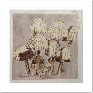 Baby mushrooms Posters and Art